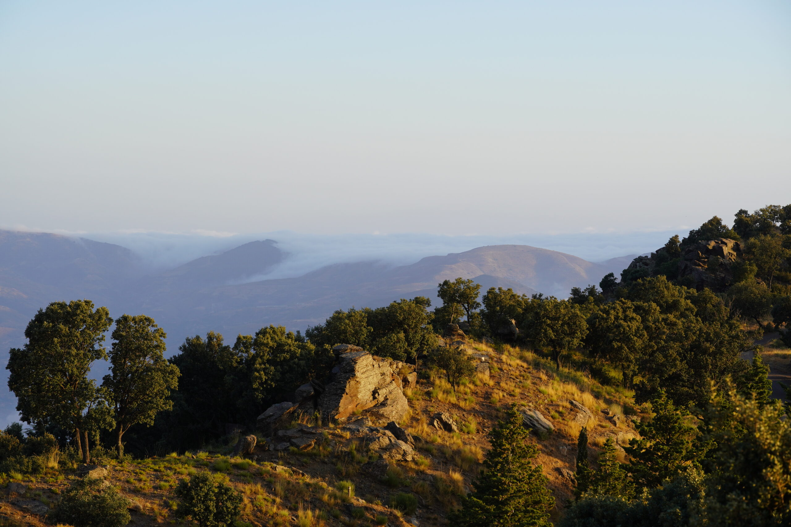 Sustainable Management of Mediterranean Forests, Andalusia, Spain