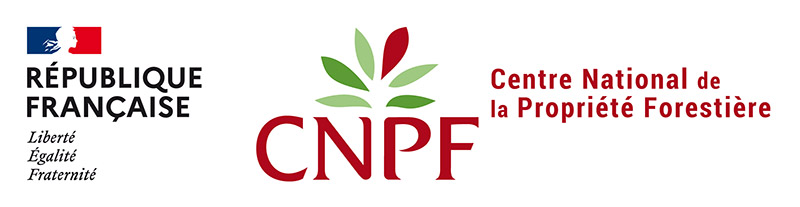 StrategyMedFor Partner CNPF logo