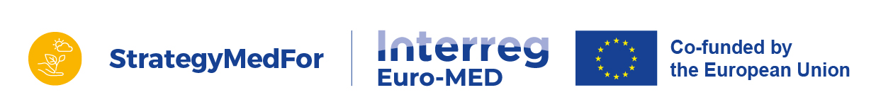 StrategyMedFor Logo