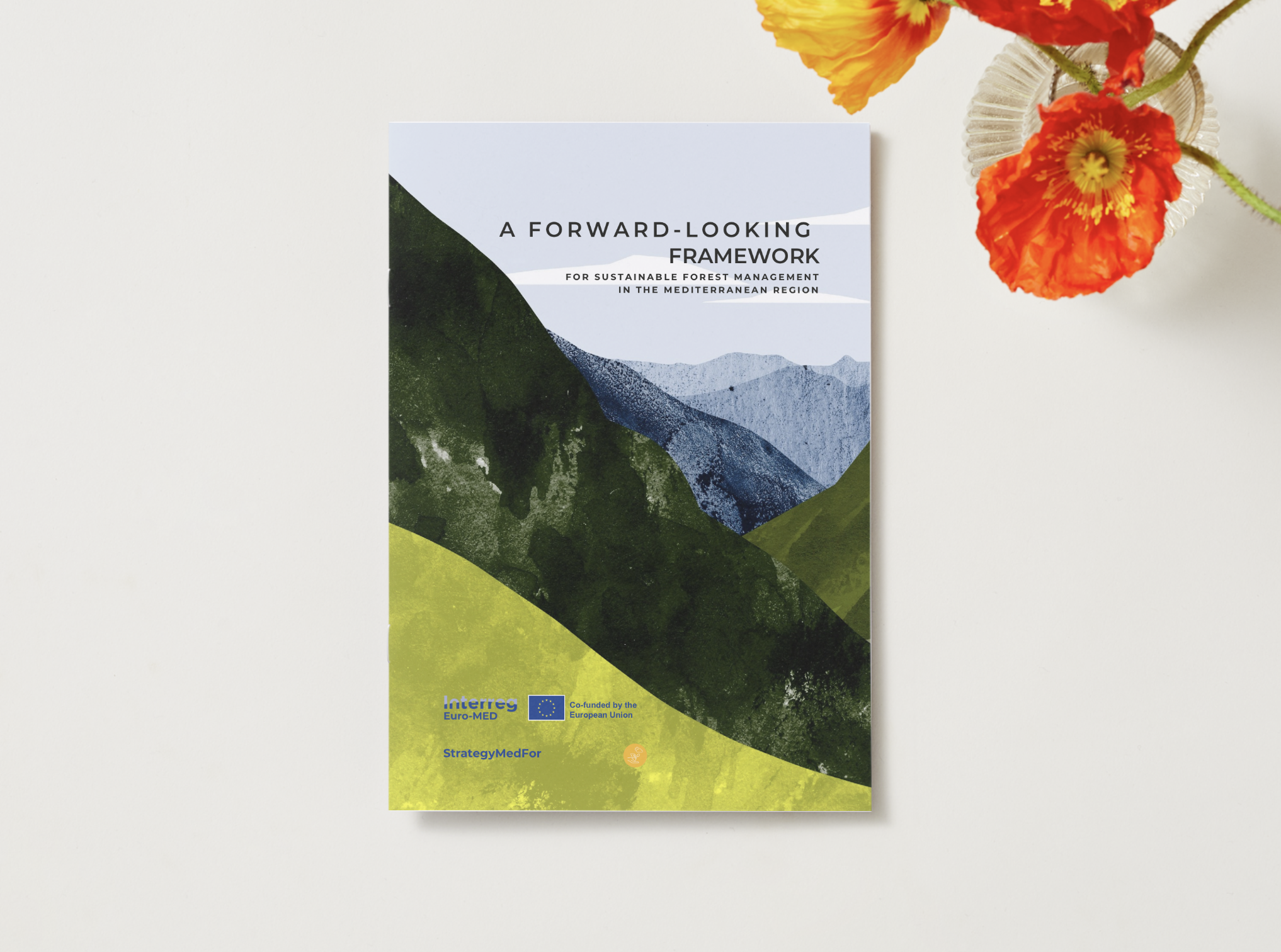 Forward-looking Framework for Sustainable Forest Management in the Mediterranean Region