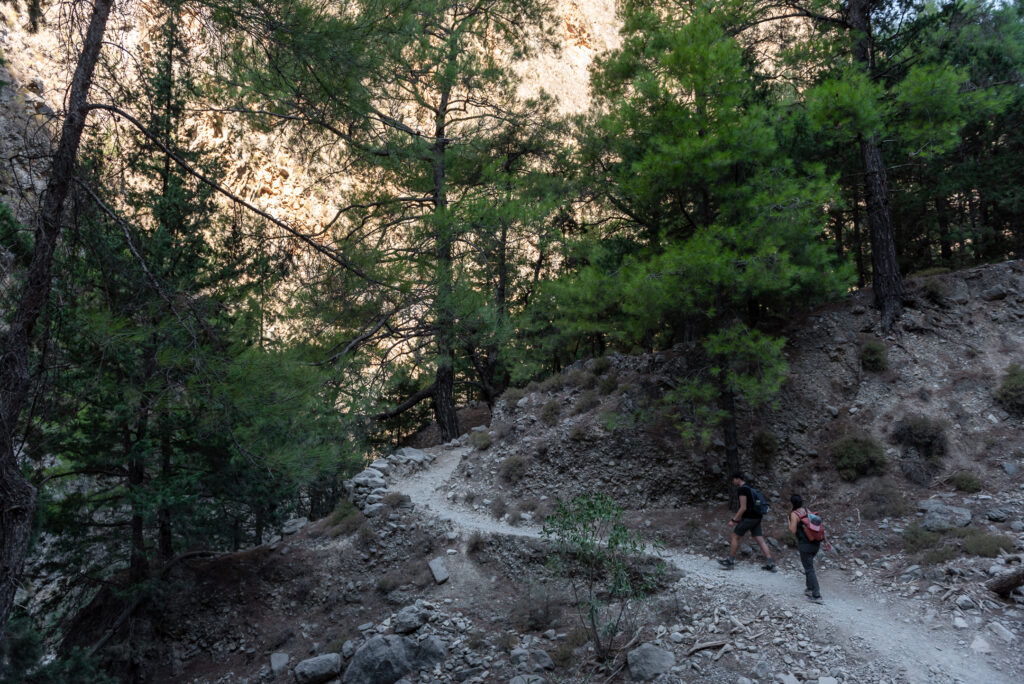 StrategyMedFor Samaria Field Visit