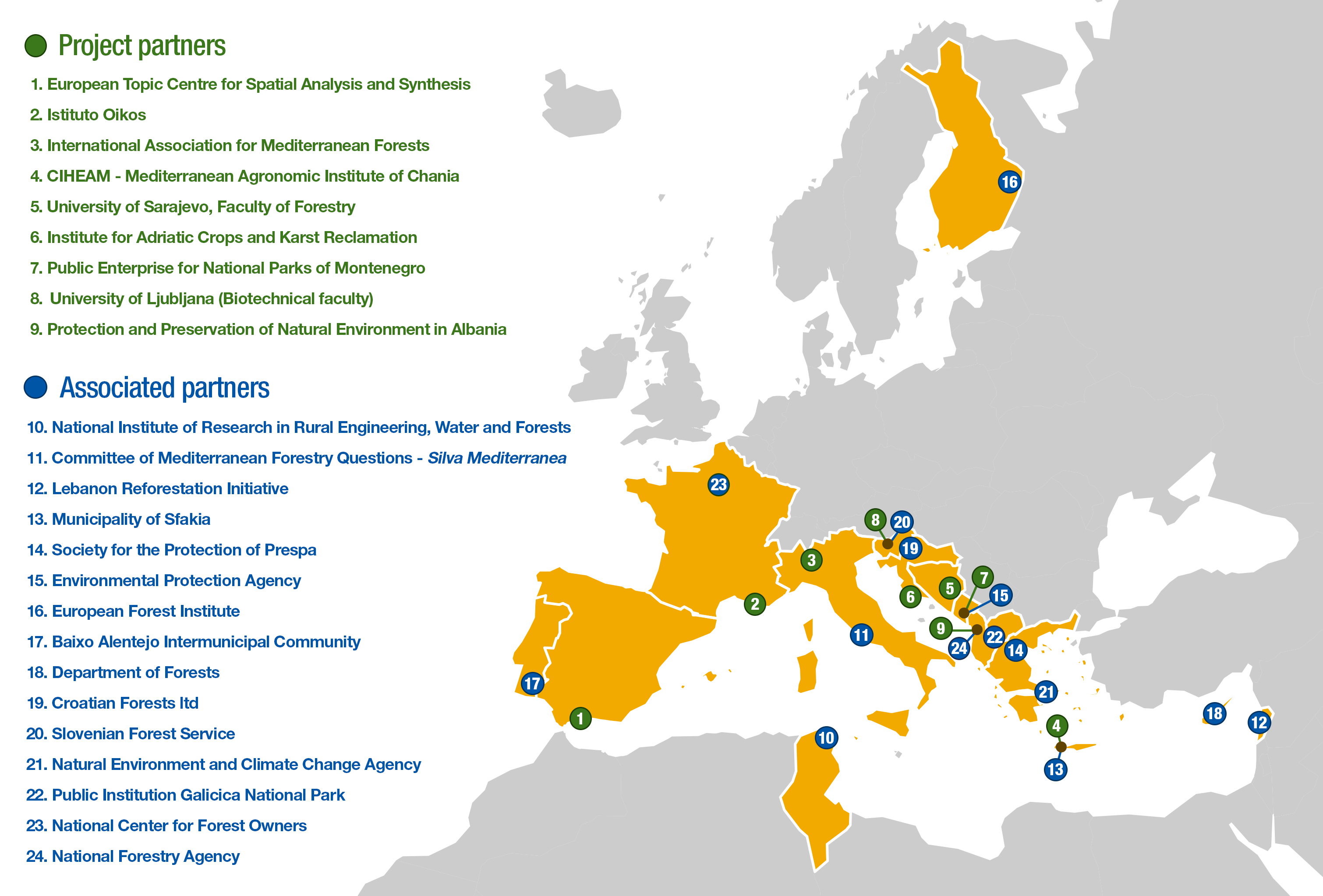 StrategyMedFor partnership map