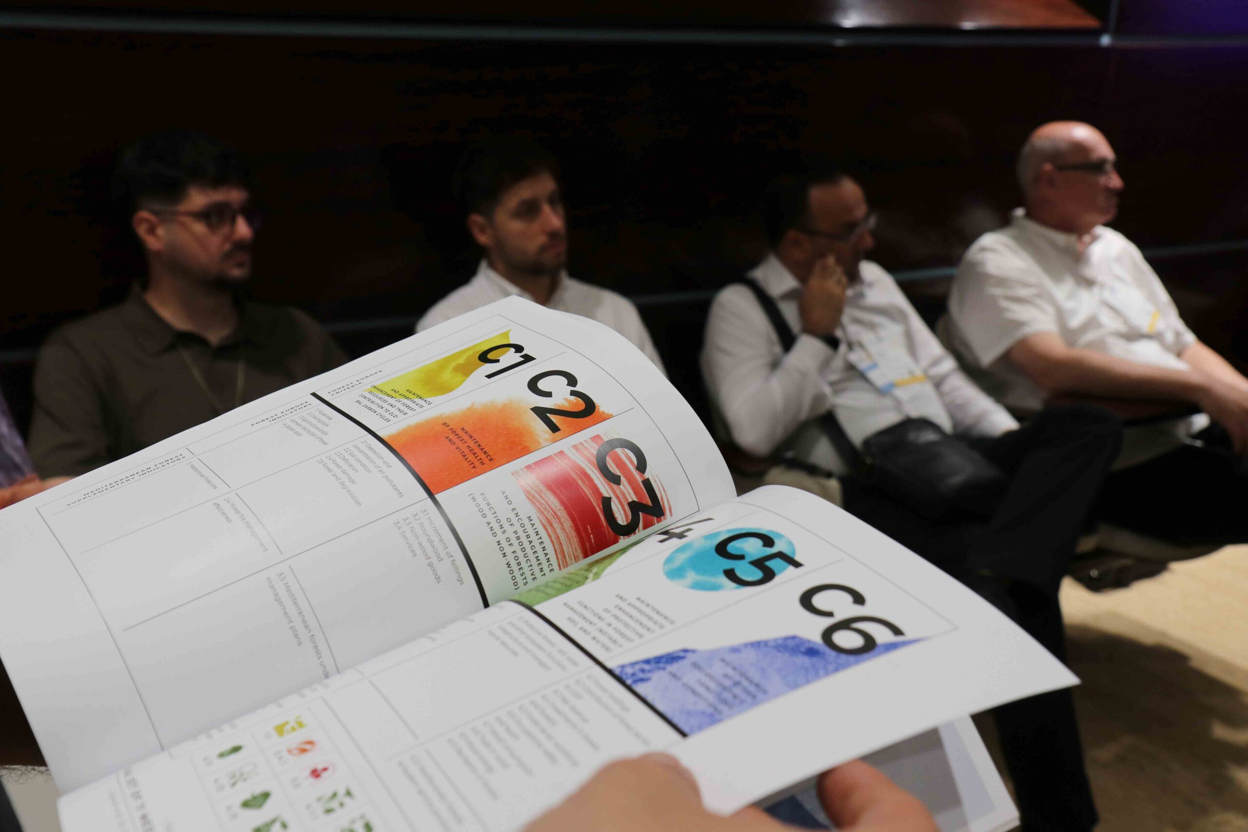 StrategyMedFor - Policy Brief Brochure
